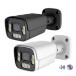 NST-IPG6854-DL (4MP)